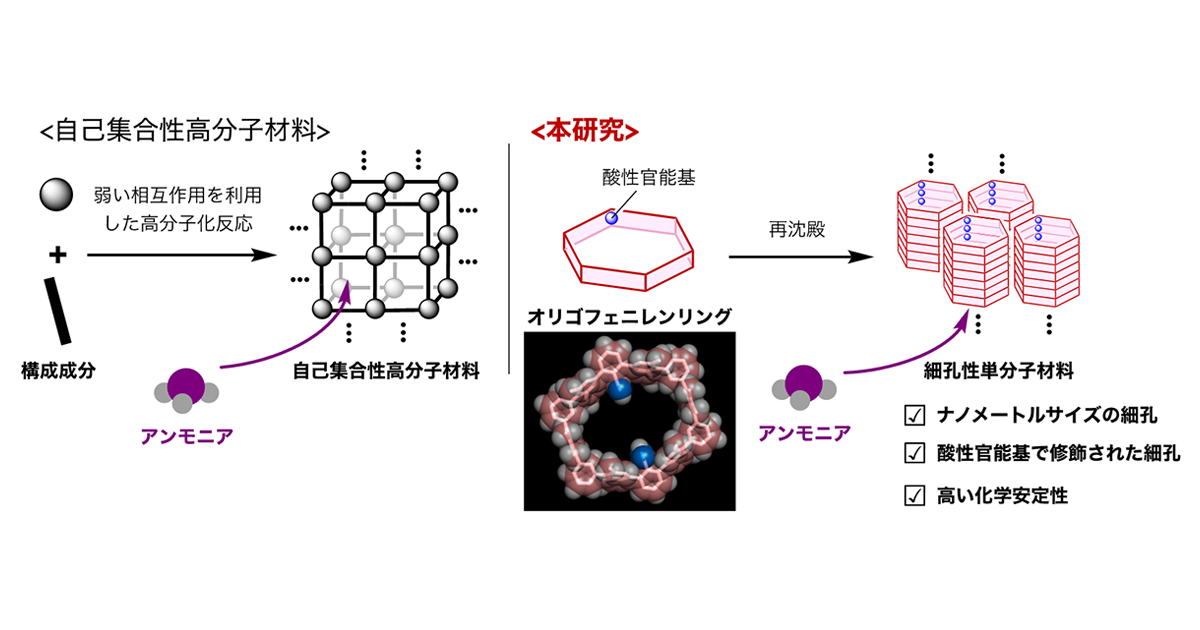 アンモニアを安定に吸脱着できる単分子結晶吸着材を開発－水素キャリアであるアンモニアの貯蔵材料の新候補－｜東京理科大学