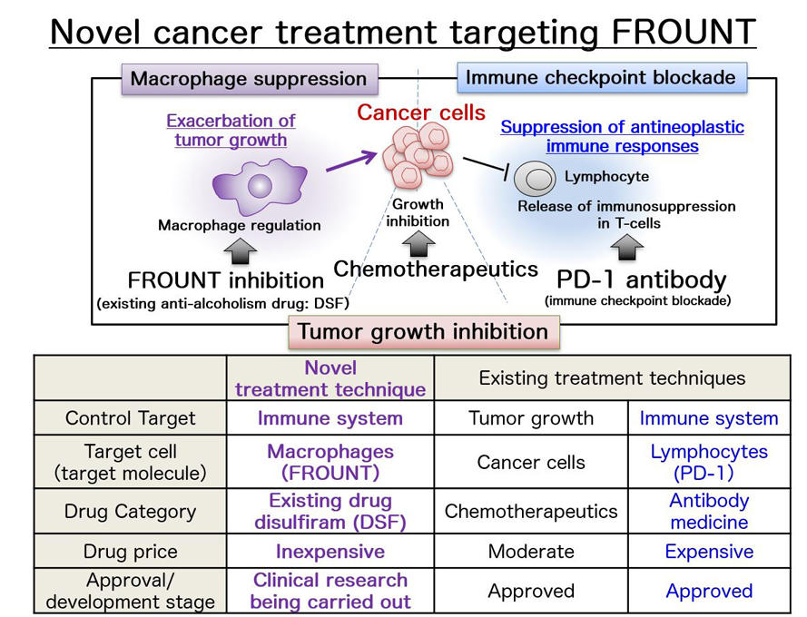 Double trouble: A drug for alcoholism can also treat cancer by targeting macrophages