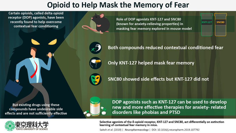 Masking the Memory of Fear: Treating Anxiety Disorders such as PTSD with an Opioid