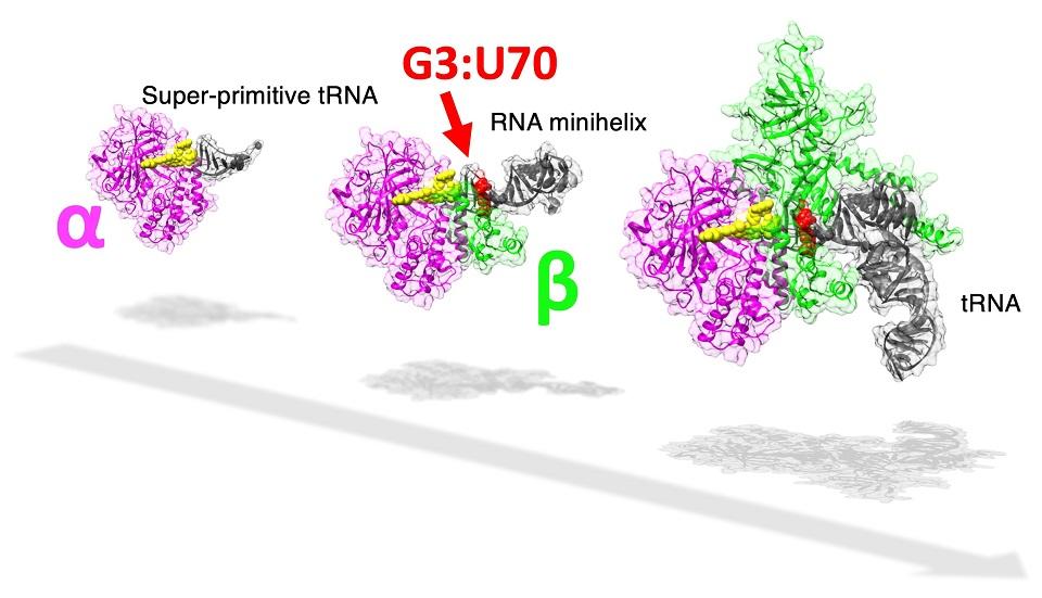 Modern Problems, Primitive Solutions: A Glimpse into Archaic Protein Synthesis Systems