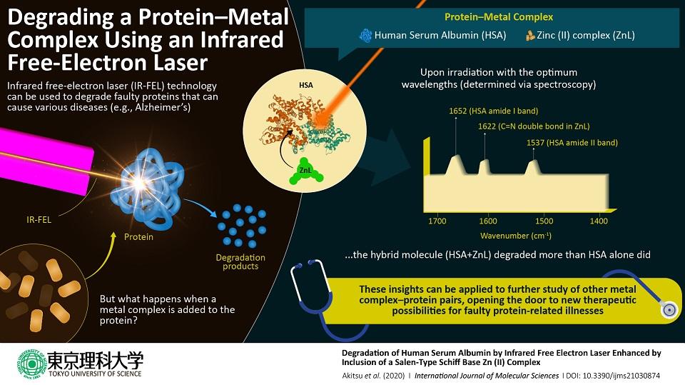 New Therapeutic Possibilities on the Horizon―Targeted Protein Destruction Made Better 