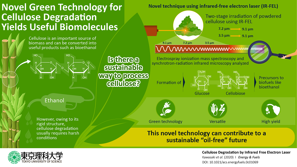 Towards a Green Future: Efficient Laser Technique Can Convert Cellulose into Biofuel 