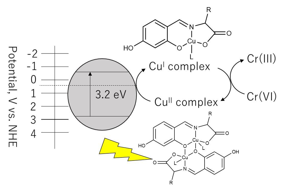 Reduction by Reduction: Novel Approach to Mitigating Chromium Contamination in Wastewater