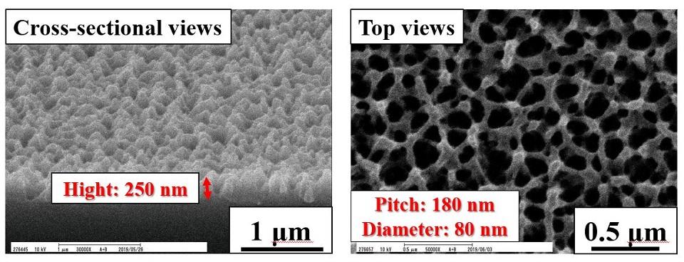 Nature-Inspired Design: Mimicking Moth Eyes to Produce Transparent Anti-Reflective Coatings