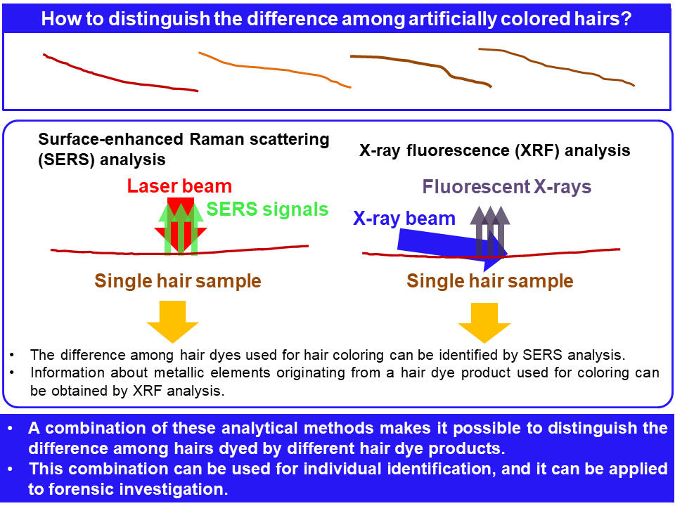 Within a Hair's Breadth--Forensic Identification of Single Dyed Hair Strand Now Possible