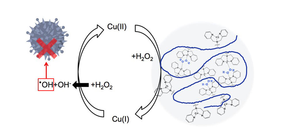 New Strategy for Drug Design: Keeping Copper Atoms Closer to Keep Bacteria Away