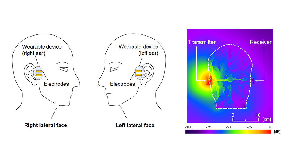 All in Your Head: Exploring Human-Body Communications with Binaural Hearing Aids