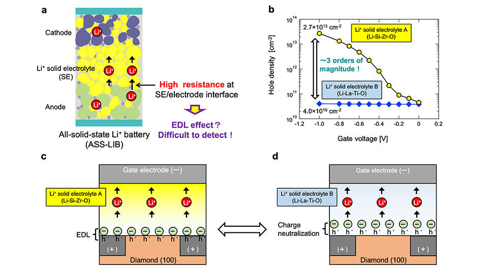 A Solid Favor for Researchers: A New Way to Investigate the Electric Double Layer Effect