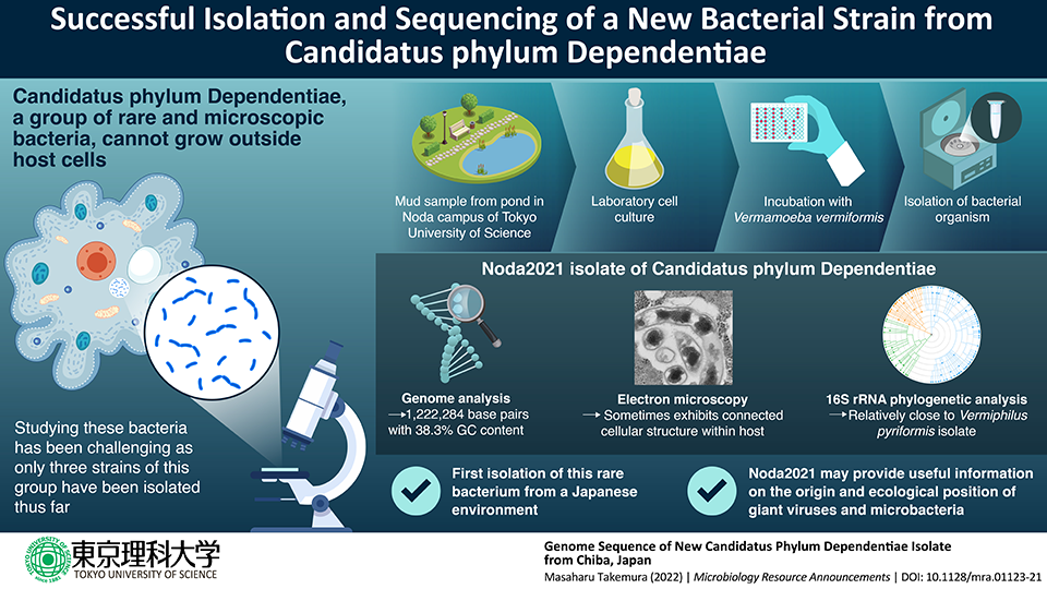 Rare Bacterial Strain Isolated and Sequenced at Tokyo University of Science