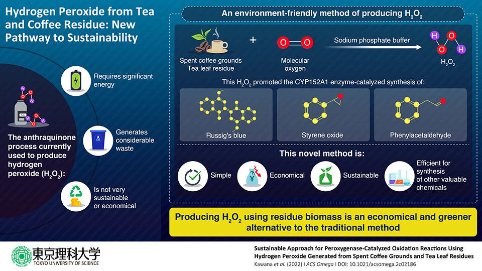 Hydrogen Peroxide from Tea and Coffee Residue: New Pathway to Sustainability