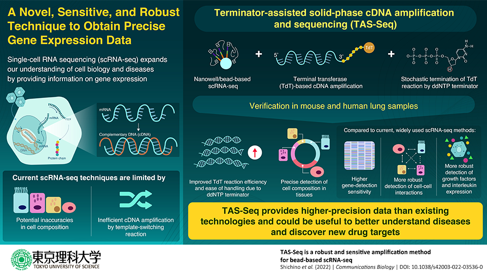 Novel, Sensitive, and Robust Single-Cell RNA Sequencing Technique Outperforms Competition