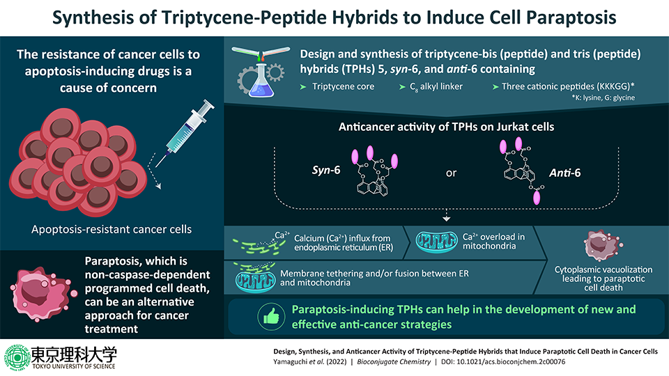 Programmed Cell Death in Cancer Cells: Overcoming Resistance Through Paraptosis-inducing Compounds