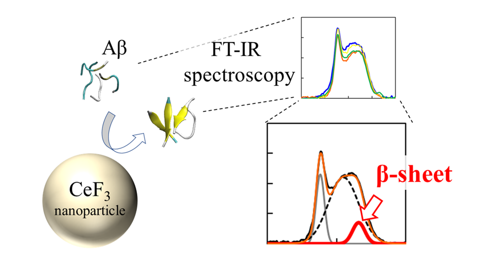 Changes in Protein Structure and Assembly with Fluoride Nanoparticles and Coexisting Ions