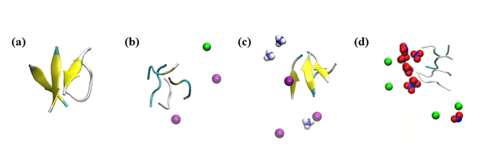 Changes in Protein Structure and Assembly with Fluoride Nanoparticles and Coexisting Ions