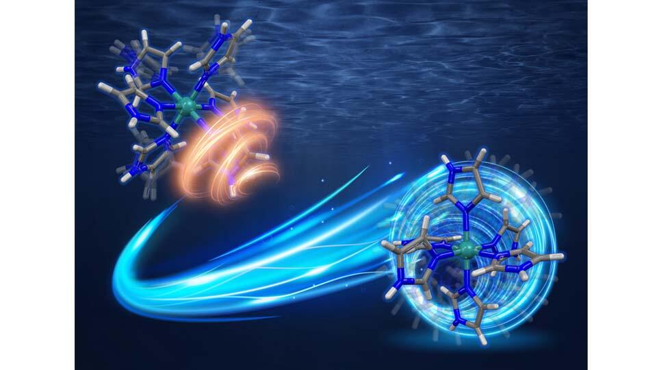 Novel Multi-Proton Carrier Complex as Efficient Proton Conductor at High Temperatures