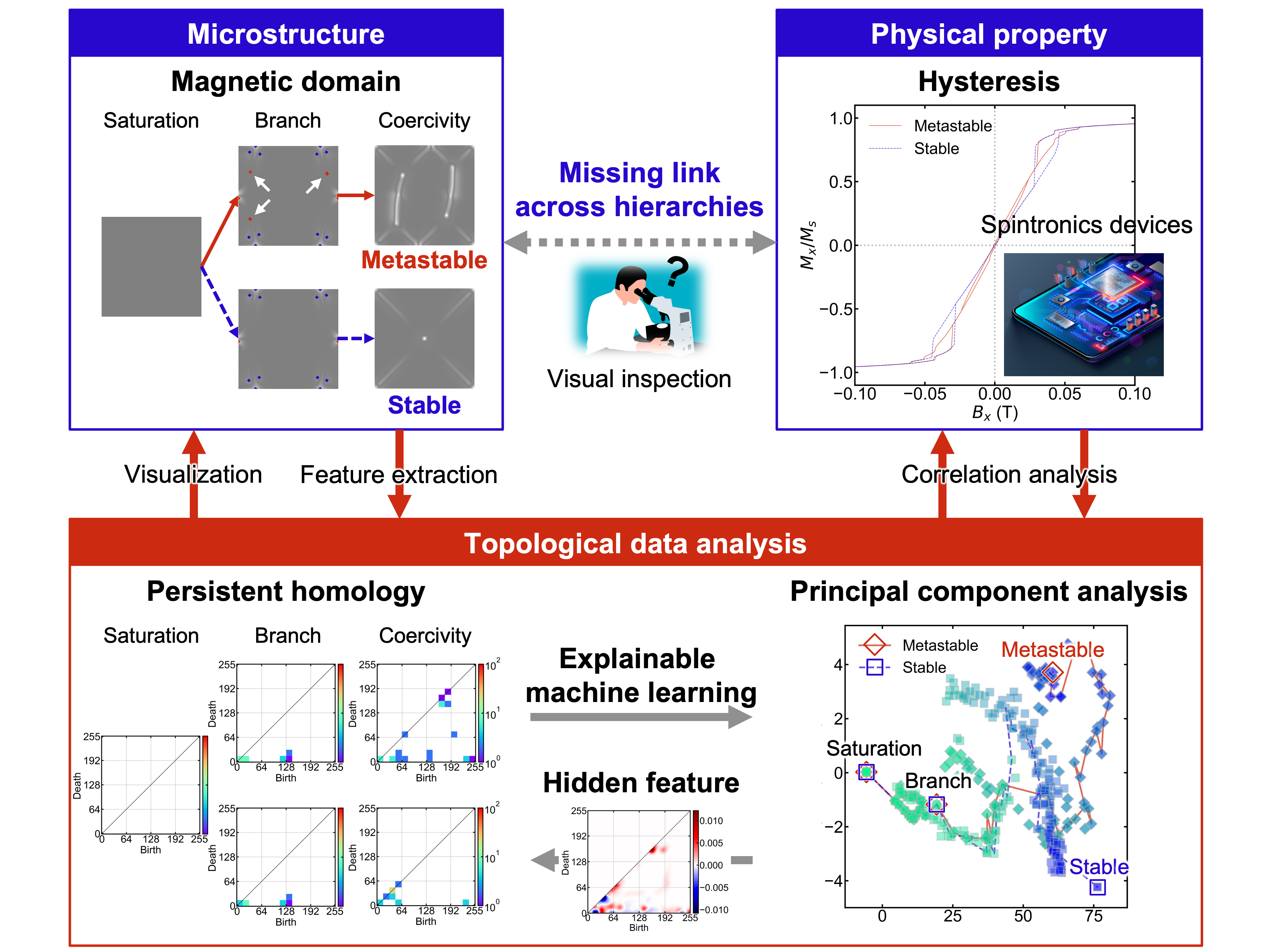 Revealing the Complex Magnetization Reversal Mechanism with Topological Data Analysis