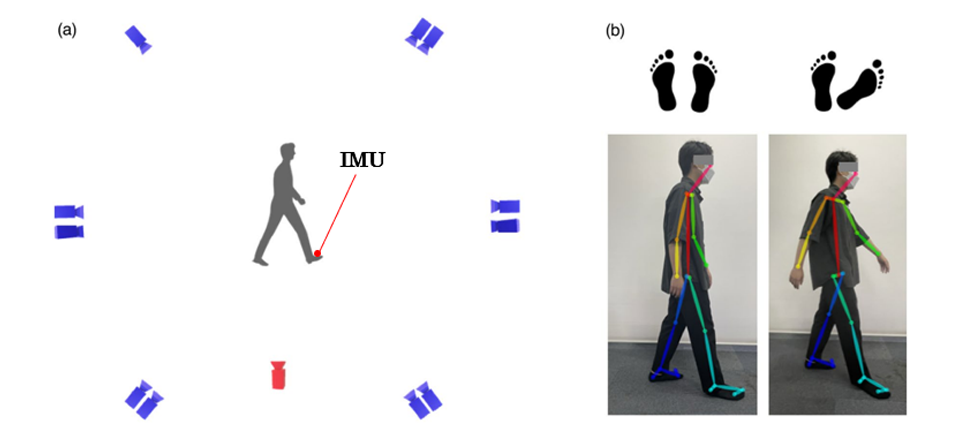 Improving the Accuracy of Markerless Gait Analysis