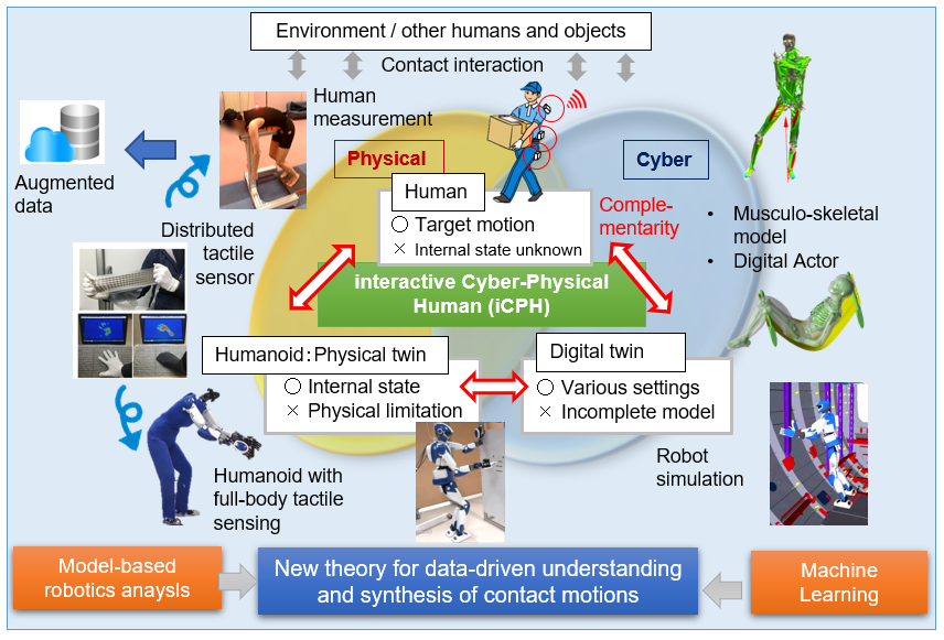 Interactive Cyber-Physical Human: Generating Contact-Rich Whole-Body Motions