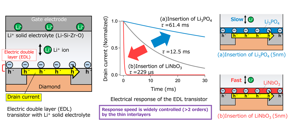 Controlling Electric Double Layer Dynamics for Next Generation All-Solid-State Batteries