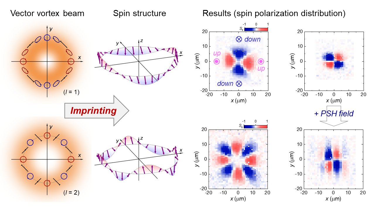 Storing Information with Spins: Creating New Structured Spin States with Spatially Structured Polarized Light