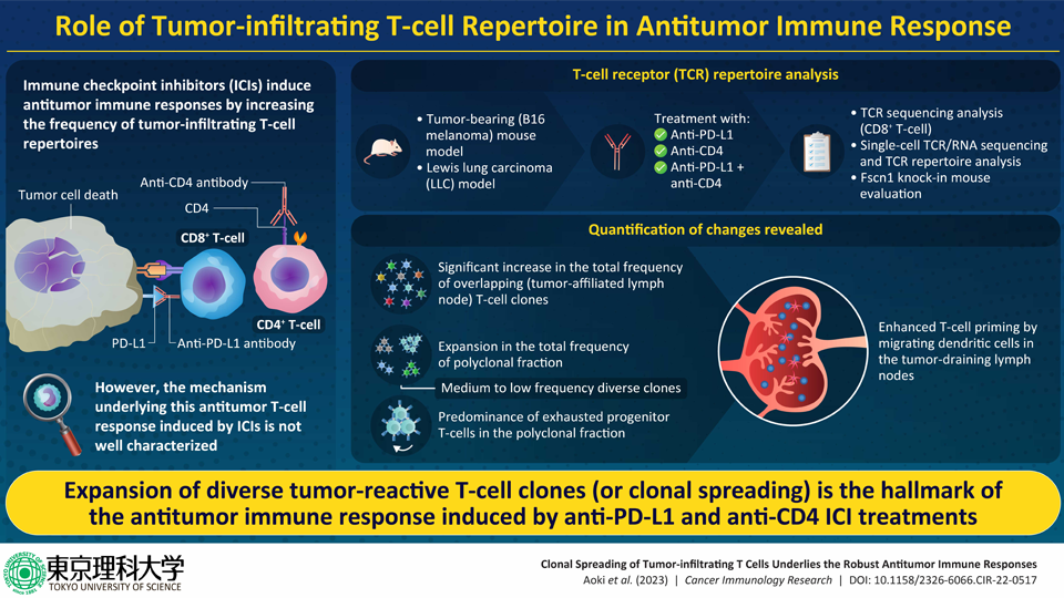 Immune Checkpoint Inhibitor Antitumor Response: Decoding Molecular Mechanisms