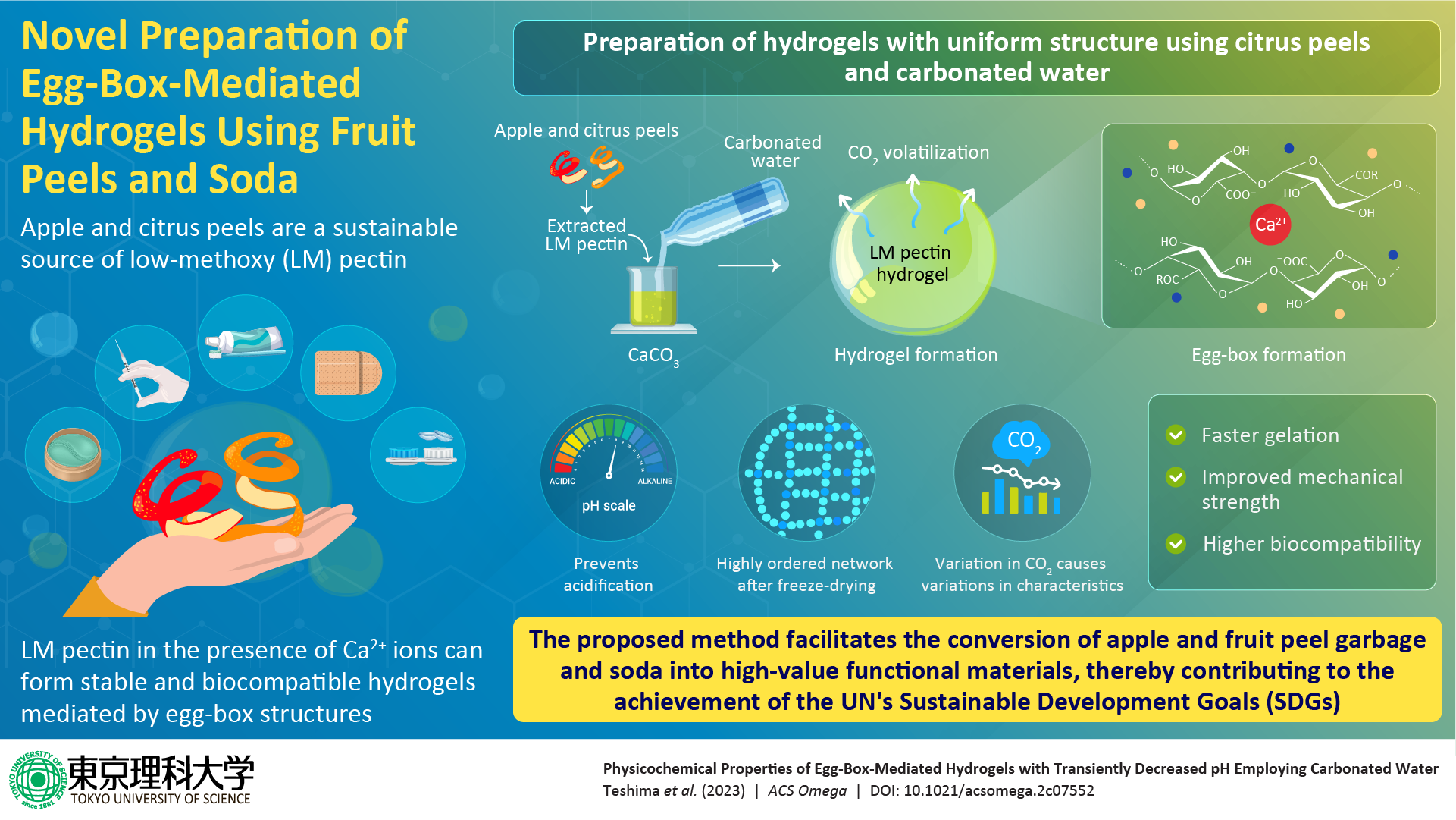 New Study Shows How Carbonated Water Can be Used to Tune Properties of Hydrogels for Various Uses