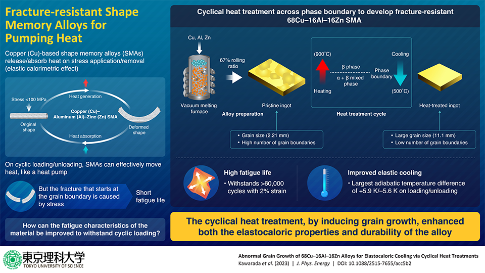 Novel Durable Copper-Aluminum-Zinc Shape Memory Alloys for Energy-Efficient Refrigeration