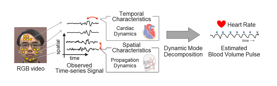 Extracting Blood-Induced Color Changes on the Face for Non-Contact Heart Rate Estimation