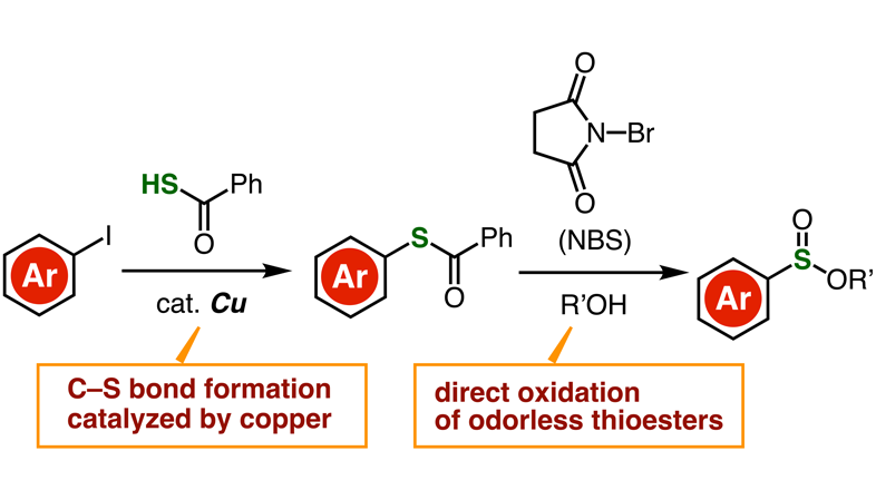Extending the Playing Field for Organosulfurs: A New Way to Synthesize Sulfinate Esters