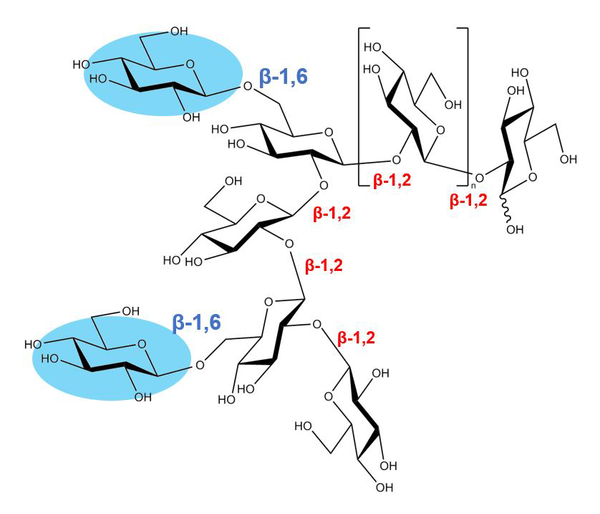 Novel Enzyme Family Could Provide Insights into Bacterial Pathogenicity