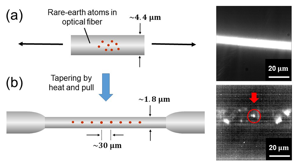 Optical-Fiber based Single-Photon Light Source at Room Temperature for Next-Generation Quantum Processing 