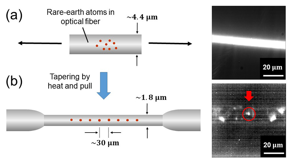 Optical-Fiber based Single-Photon Light Source at Room Temperature for Next-Generation Quantum Processing