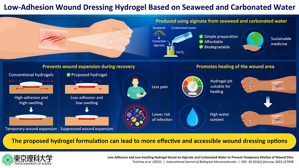 Revolutionary Seaweed and Carbonated Water Based Hydrogel for Treating Skin Wounds