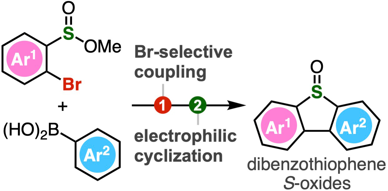 New Horizons in Chemical Biology: A Novel Approach to Synthesize Dibenzothiophene S-Oxides 