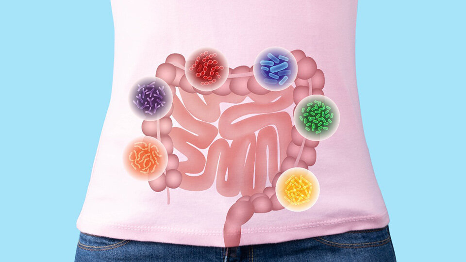 Gut Bacteria Metabolite Shows Promise of Fighting Inflammatory Bowel Disease
