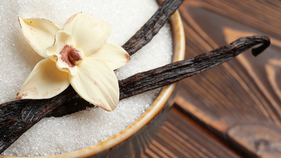 Bioengineered Enzyme Creates Natural Vanillin from Plants in One Step