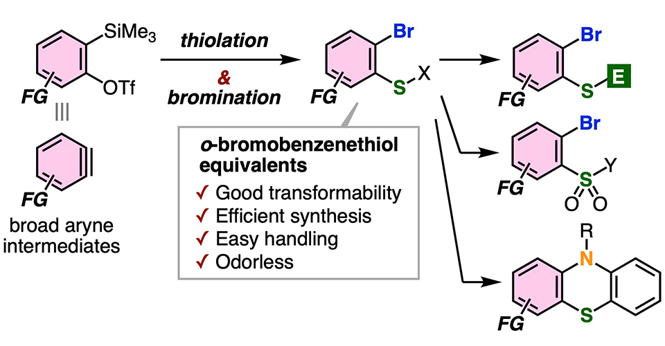 Unlocking Complex Sulfur Molecules: A Novel Approach for Synthesis of Functionalized Benzenethiol Equivalents