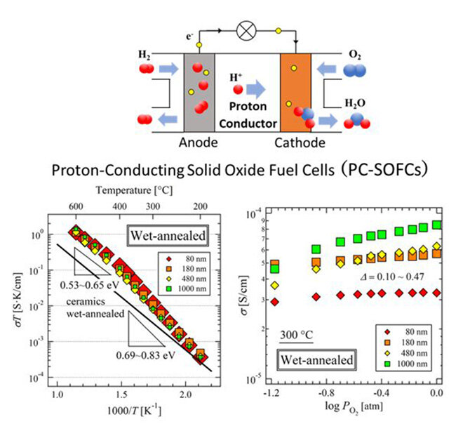 Towards Cleaner Energy: Breakthrough in Anode Electrode Materials for Proton Conducting Solid Oxide Fuel Cells Operating at Medium Temperature