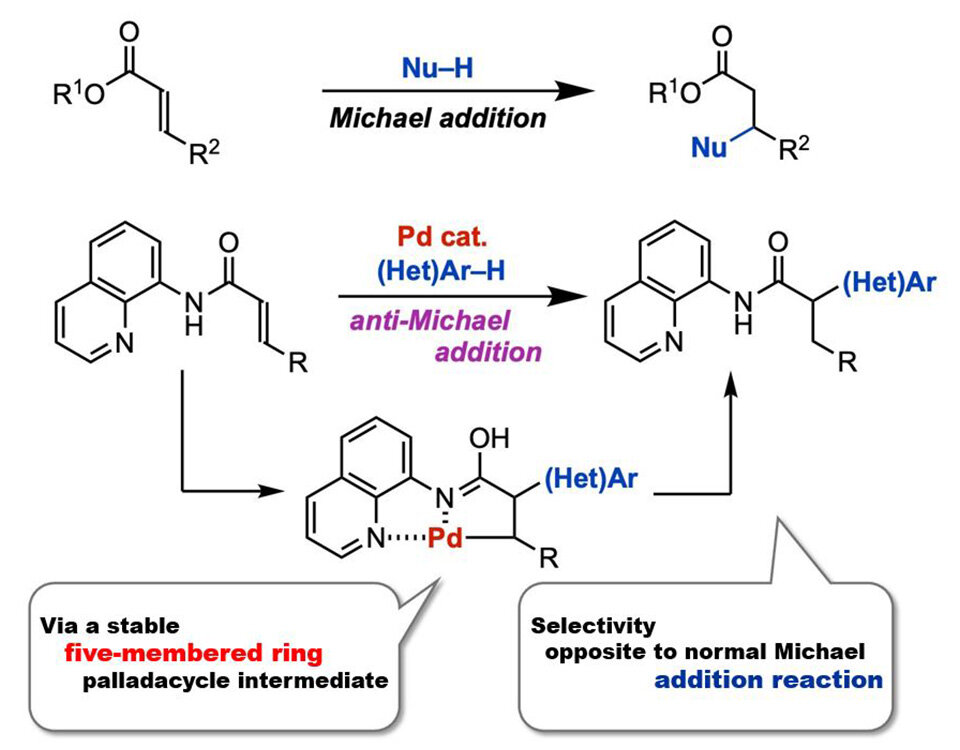 One-Step Synthesis of Pharmaceutical Building Blocks: New Method for anti-Michael Reaction