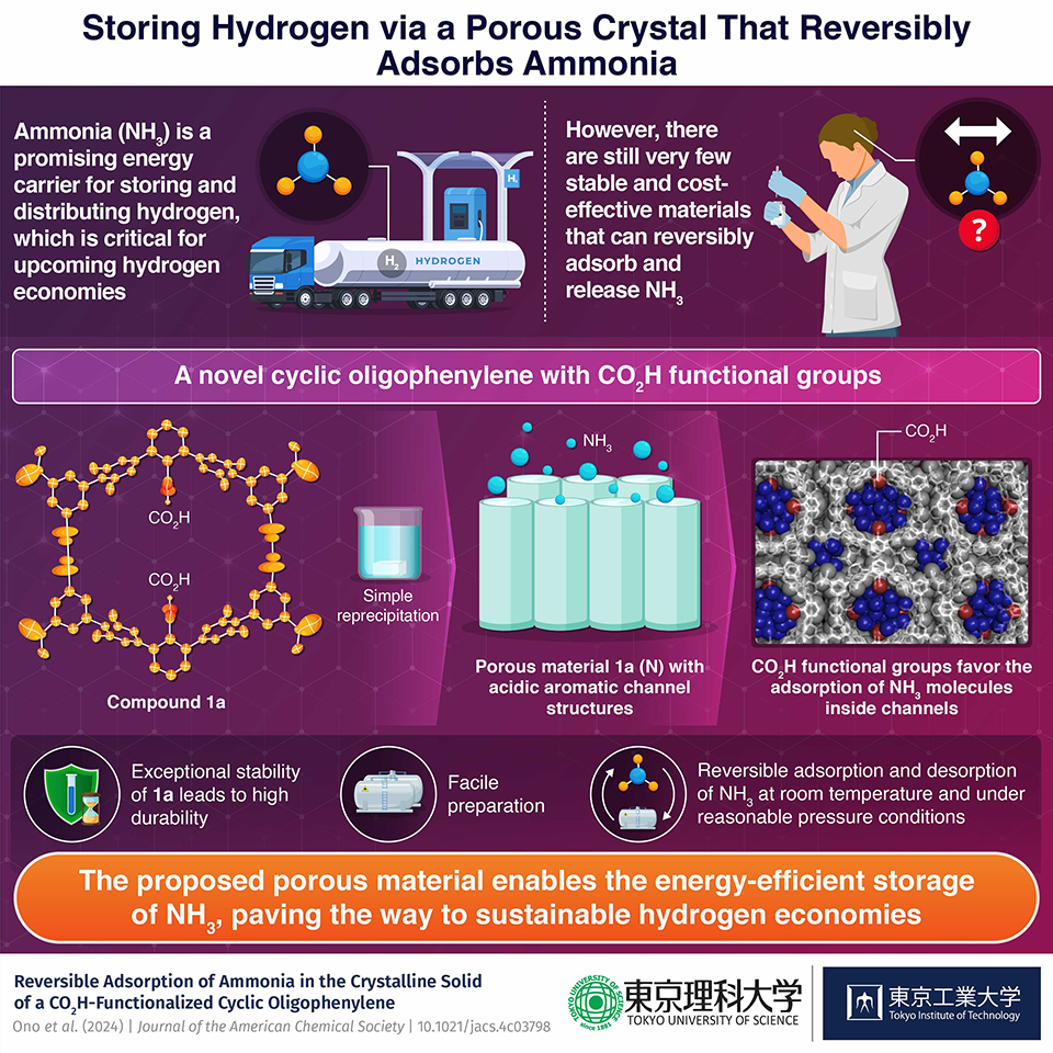 A Single-Molecule-Based Organic Porous Material with Great Potential for Efficient Ammonia Storage