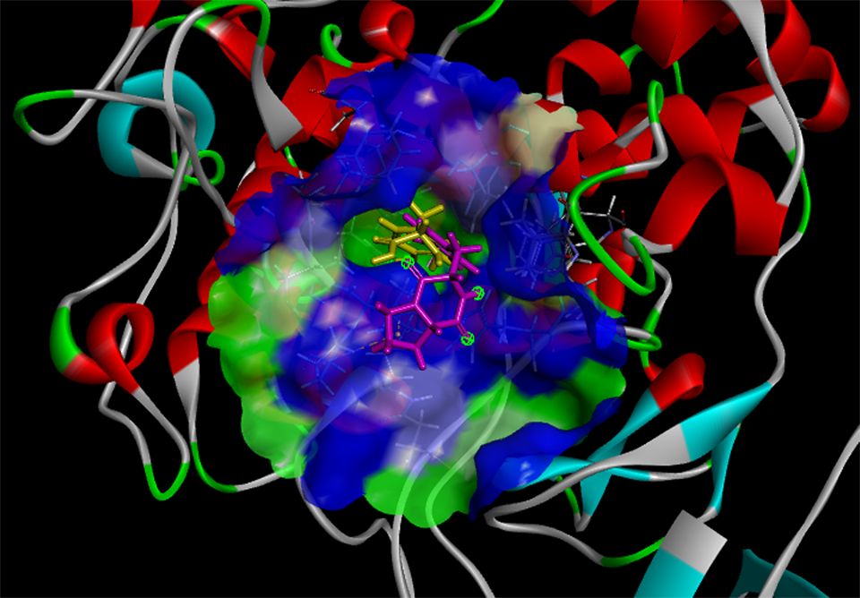Breakthrough: Natural Bacteria Compound Offers Safe Skin Lightening
