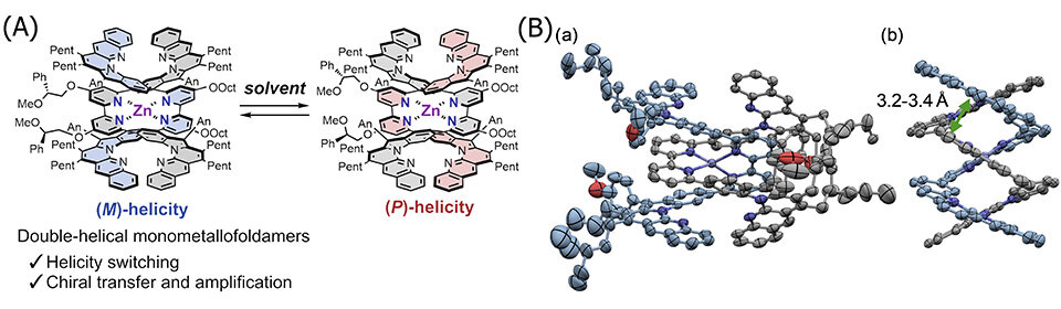 Breakthrough in Molecular Control: New Bioinspired Double Helix with Switchable Chirality