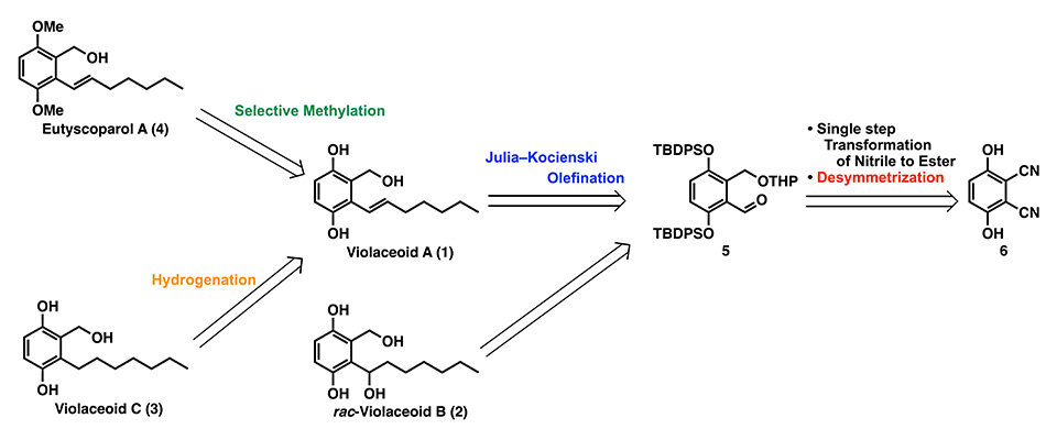 From Fungi to Pharmaceuticals: A Milestone for the Production of Eutyscoparol A and Violaceoid C