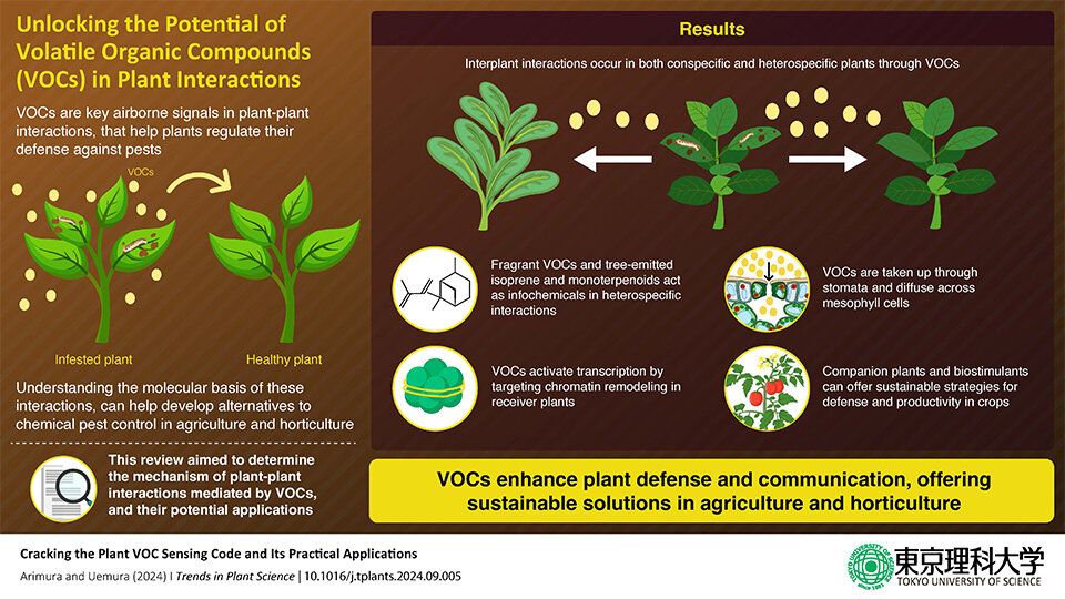 Harnessing Plant Odors to Revolutionize Sustainable Agriculture