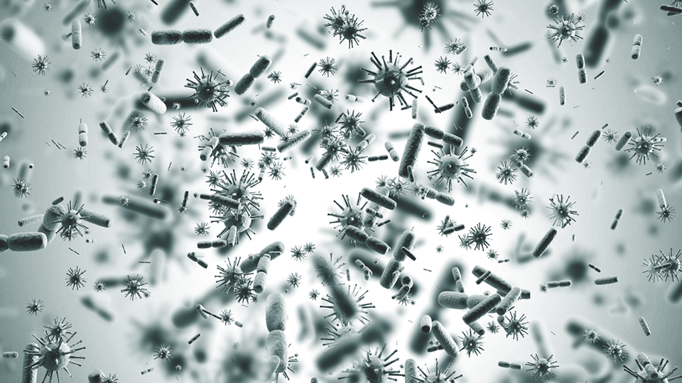 Revolutionizing Biology Education: Scientists Film 'Giant' Mimivirus in Action