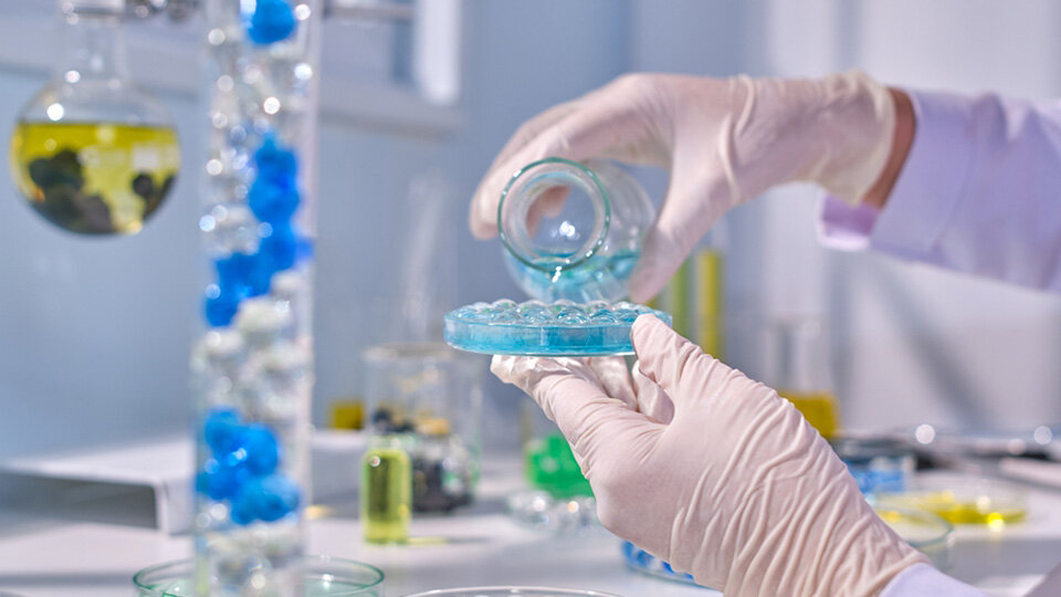 Transforming Marine Waste and Carbonated Water into Hydrogels via CO2 Release Behavior