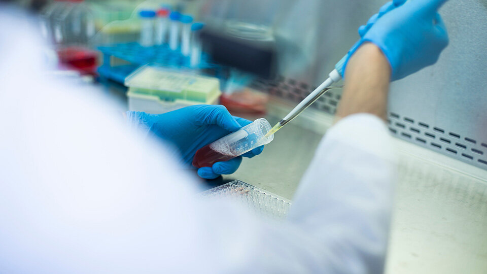Scientists Develop Breakthrough Culture System to Unlock Secrets of Skin Microbiome
