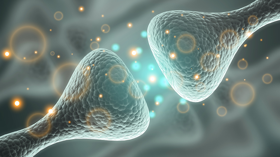 Scientists Uncover Rapid-Acting, Low-Side-Effect Antidepressant Target