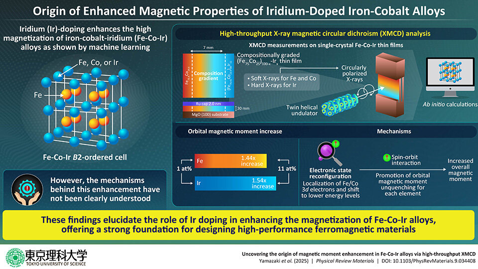 Understanding the Origin of Magnetic Moment Enhancement in Novel Alloys