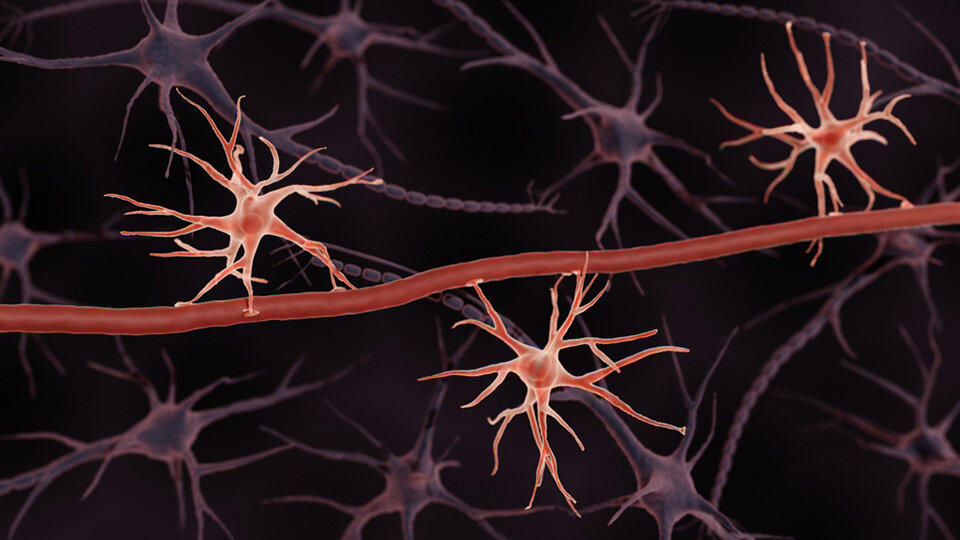Towards Gene-Targeting Drugs Capable of Targeting Brain Diseases